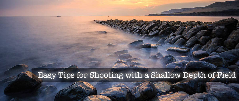Easy Tips for Shooting with a Shallow Depth of Field