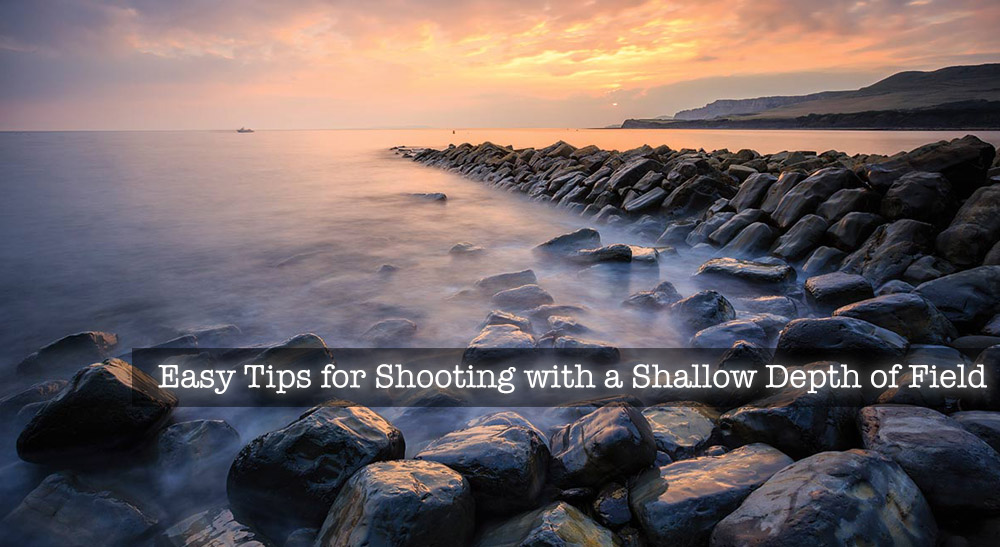 Easy Tips for Shooting with a Shallow Depth of Field